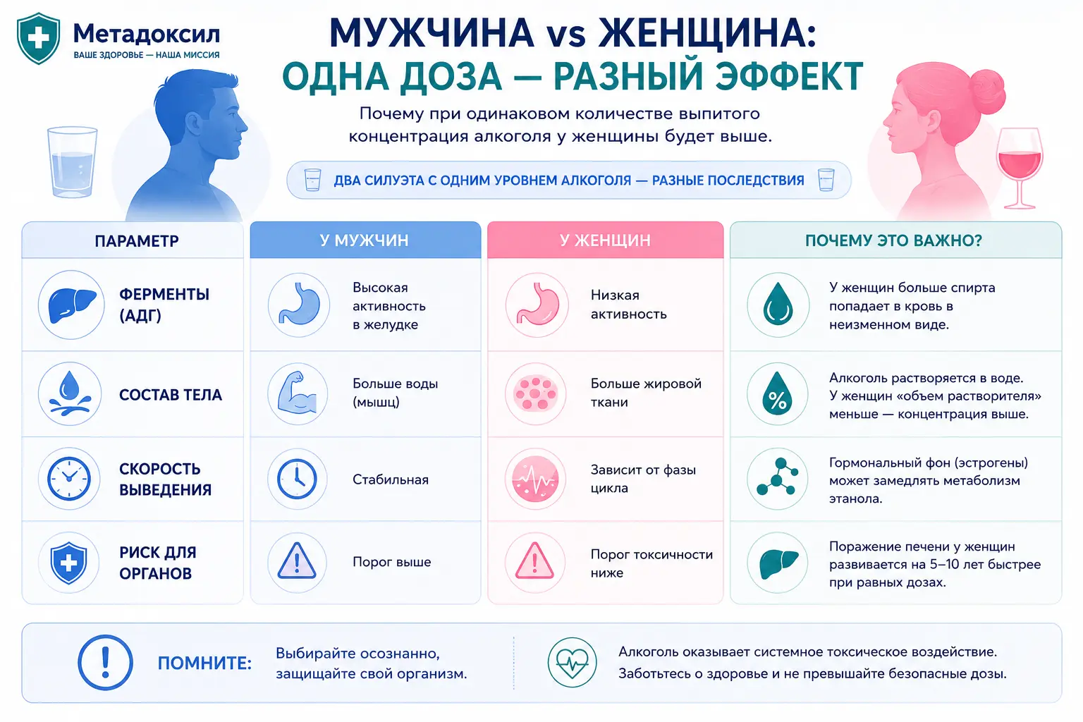 Сравнительная инфографика: почему алкоголь сильнее влияет на женщин, чем на мужчин.