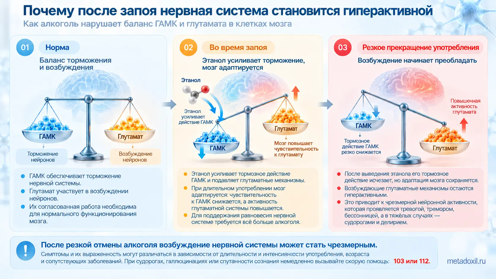 Инфографика: как алкоголь нарушает баланс нейромедиаторов ГАМК и глутамата в мозге при запое и синдроме отмены