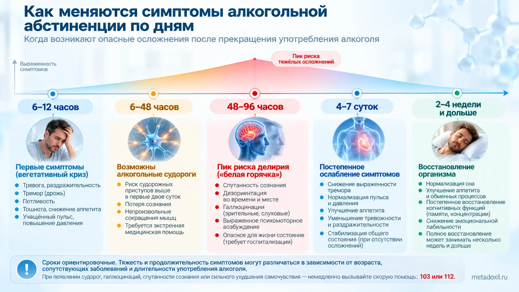 Инфографика: стадии и симптомы алкогольной абстиненции по дням — пики риска судорог, белой горячки и сроки восстановления